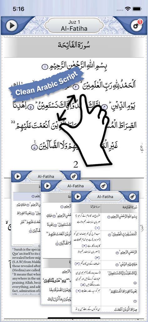 Quran Explorer app displaying clean Arabic script with a pinch to zoom gesture and multiple translation views