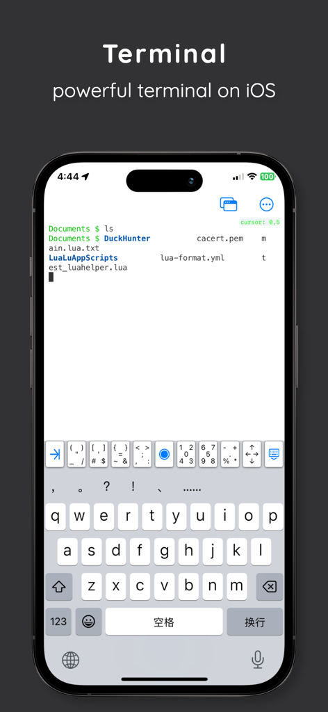 Terminal interface for the U Game Engine and xLua mobile development environment