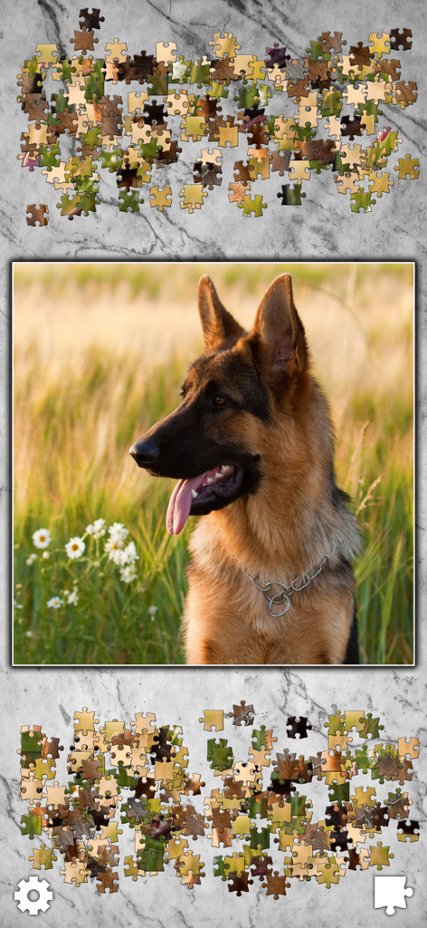 Un rompecabezas digital de un perro pastor alemán en Jigsaw Puzzles Titan