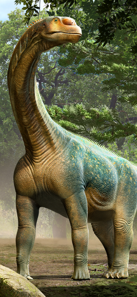 World of Dinosaurs - Detailed HD illustration of a long necked dinosaur in a prehistoric forest