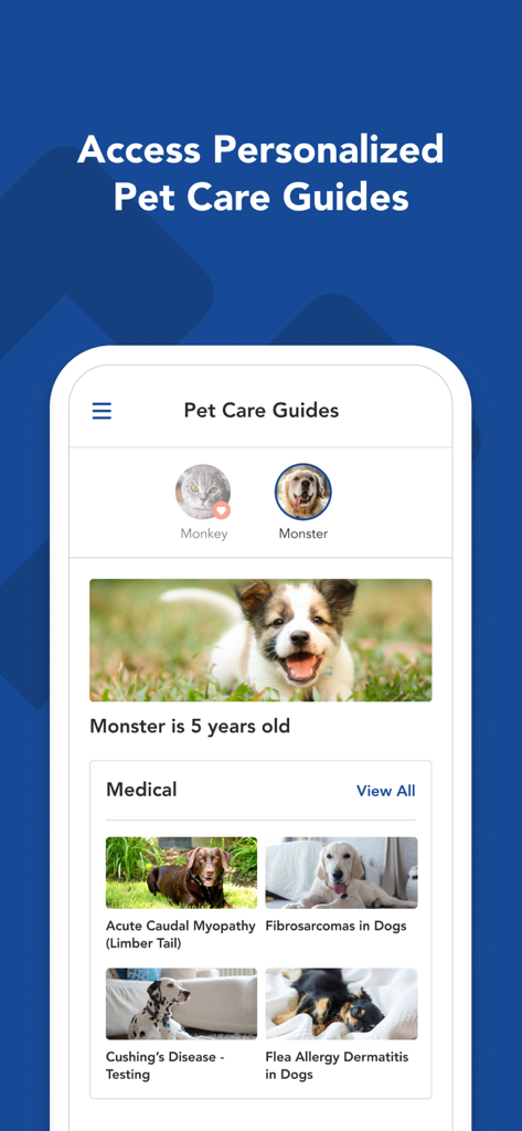 Schermata dell'app mobile che mostra guide personalizzate per la cura medica di un cane, inclusi argomenti come la malattia di Cushing e la dermatite da allergia alle pulci