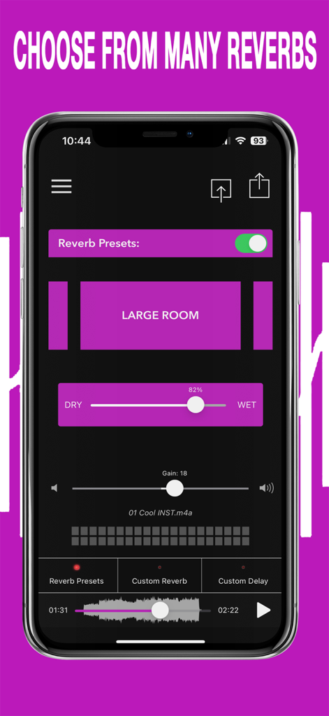 AudioVerb app interface showing reverb presets with a Large Room selection and dry wet slider