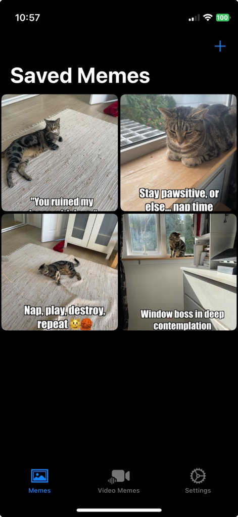YoMeme: Meme Maker & Editor - YoMemeアプリのインターフェース。さまざまなキャプションが付いた保存された猫ミームのギャラリーが表示されています。