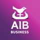 AIB Business (iBB)