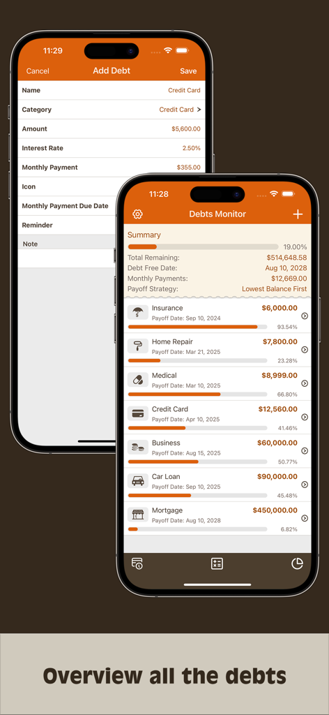 Debts Monitor - Debts Monitor app dashboard showing total debt summary and individual loan progress bars