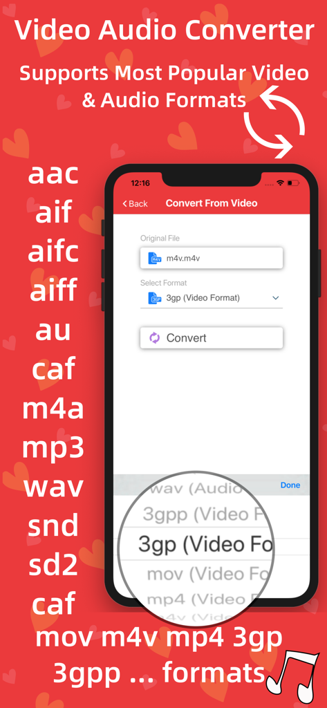 Interface of Video Audio Converter app displaying various supported video and audio formats for offline conversion on iPhone