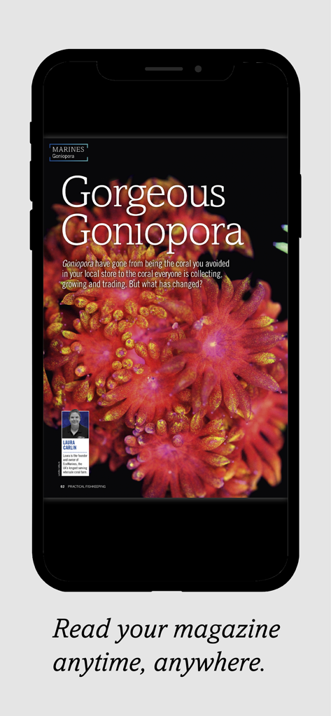 Practical Fishkeeping - Smartphone screen displaying a Practical Fishkeeping magazine article about Goniopora corals