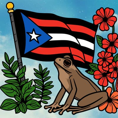 puerto rico flag frog flowers