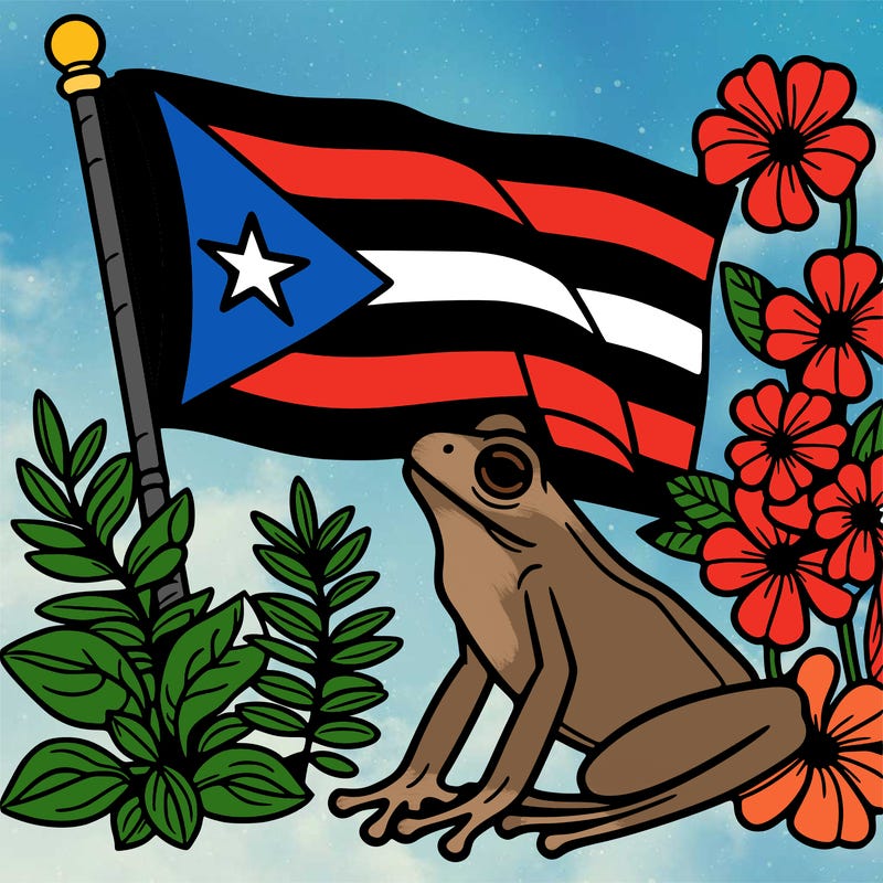 puerto rico flag frog flowers