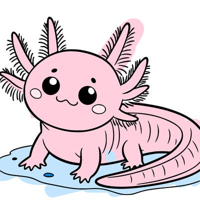axolotl