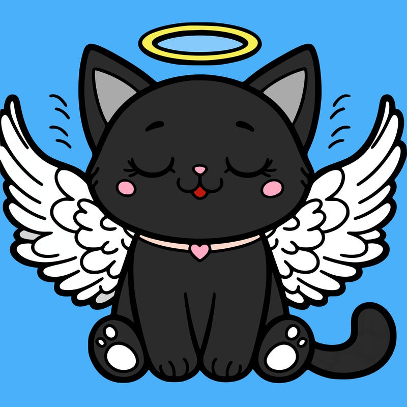 angel cat