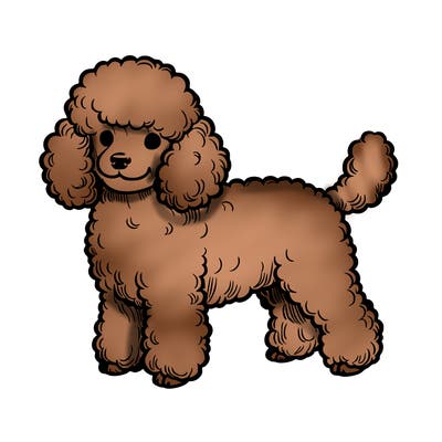 realistic mini poodle