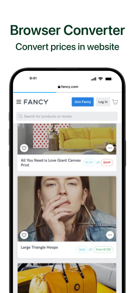 A browser extension converting prices on a shopping website in real time