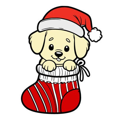 cute puppy wearing santa hat in socking