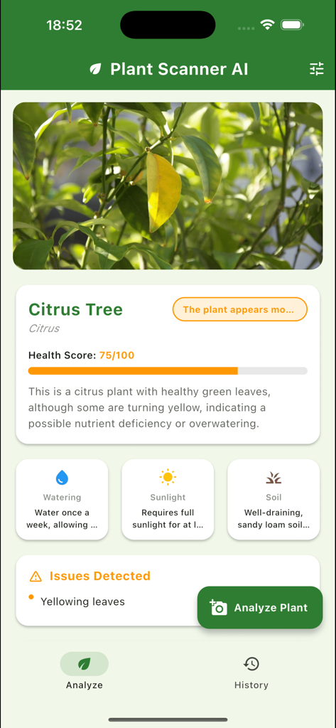 Plantia – AI Plant Identifier - Plantia AI app screen showing a health analysis and care guide for a citrus tree with yellowing leaves