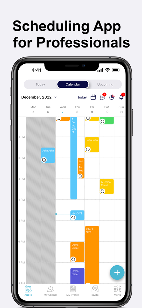 Ring My Stylist: Booking App - In-app calendar view of Ring My Stylist showing a weekly schedule with multiple appointment bookings for independent beauty professionals.