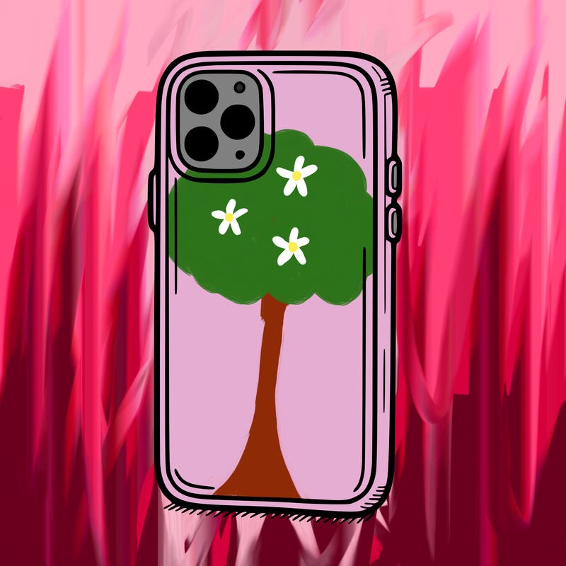 phone case