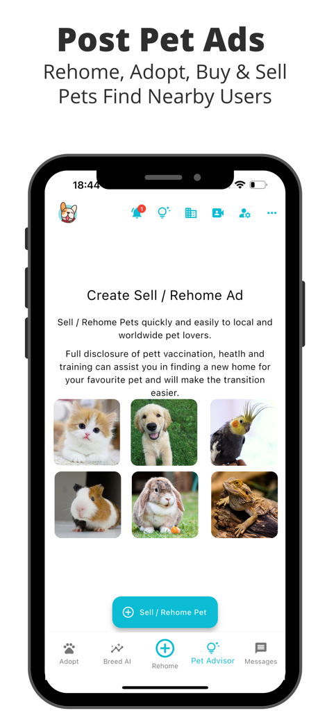 Pets Home: Rehome & Adopt Pets - A mobile phone interface from the Pets Home app showing the screen to create a pet rehome or sell advertisement with various animal photos like kittens puppies and birds