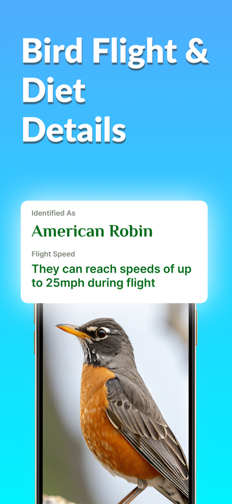 Bird Identifier app screen showing flight speed information for an American Robin