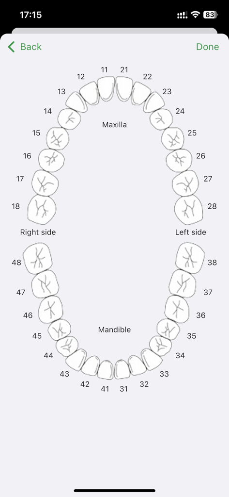 Dentist Book - Interactive dental chart with numbered teeth for maxilla and mandible sections in the Dentist Book app