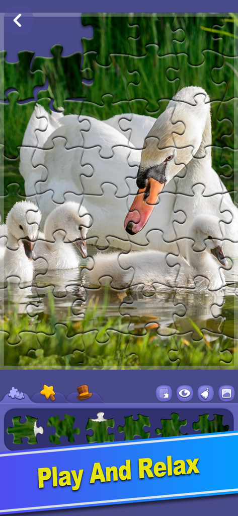 ColorPlanet® Jigsaw Puzzle - Digital jigsaw puzzle of a swan and cygnets with the caption Play And Relax