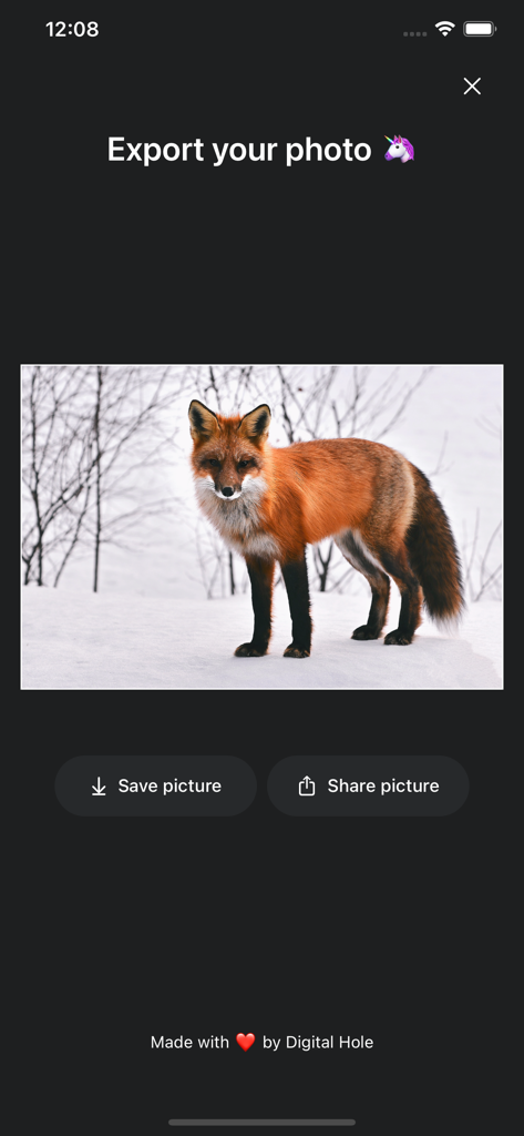 Luca - Photo Editor & Filters - Captura de tela da tela de exportação do editor de fotos Luca mostrando opções para salvar ou compartilhar uma imagem editada de uma raposa na neve