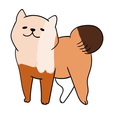 animals_29
