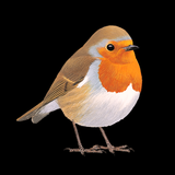 Collins British Bird Guide - App Icon