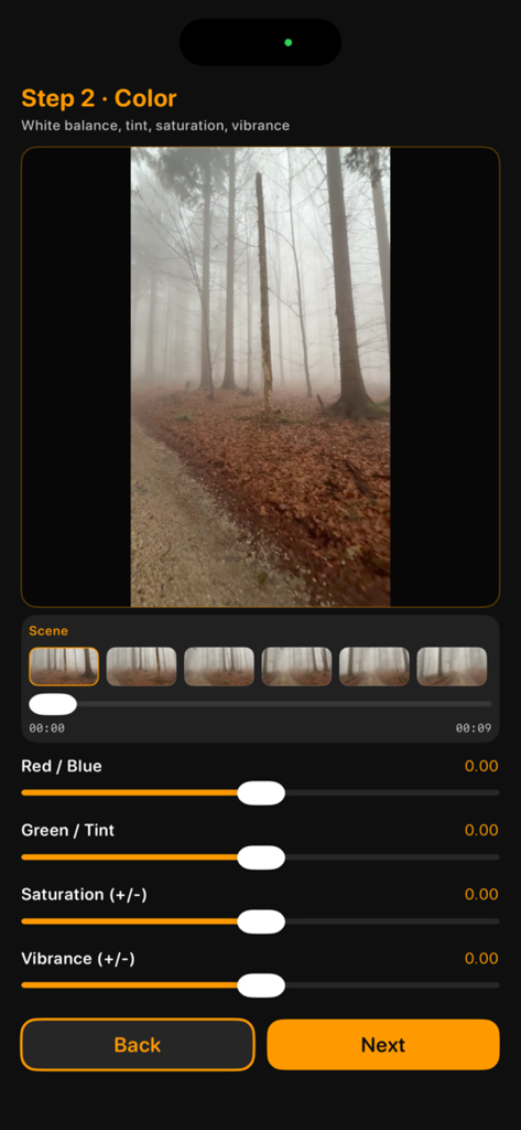 Cinerec - Step 2 of the Cinerec video editing workflow showing sliders for color balance saturation and vibrance over a forest scene
