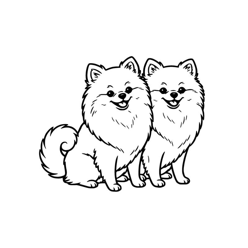 2 cute pomeranians next to each other