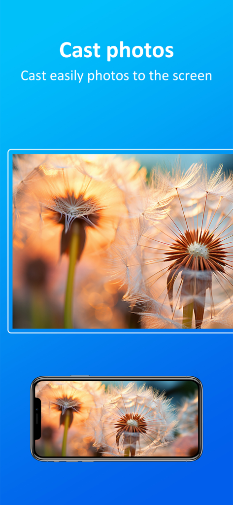 Un smartphone diffusant sans fil une photo macro de pissenlits sur un grand écran à l'aide de l'application tranScreen.