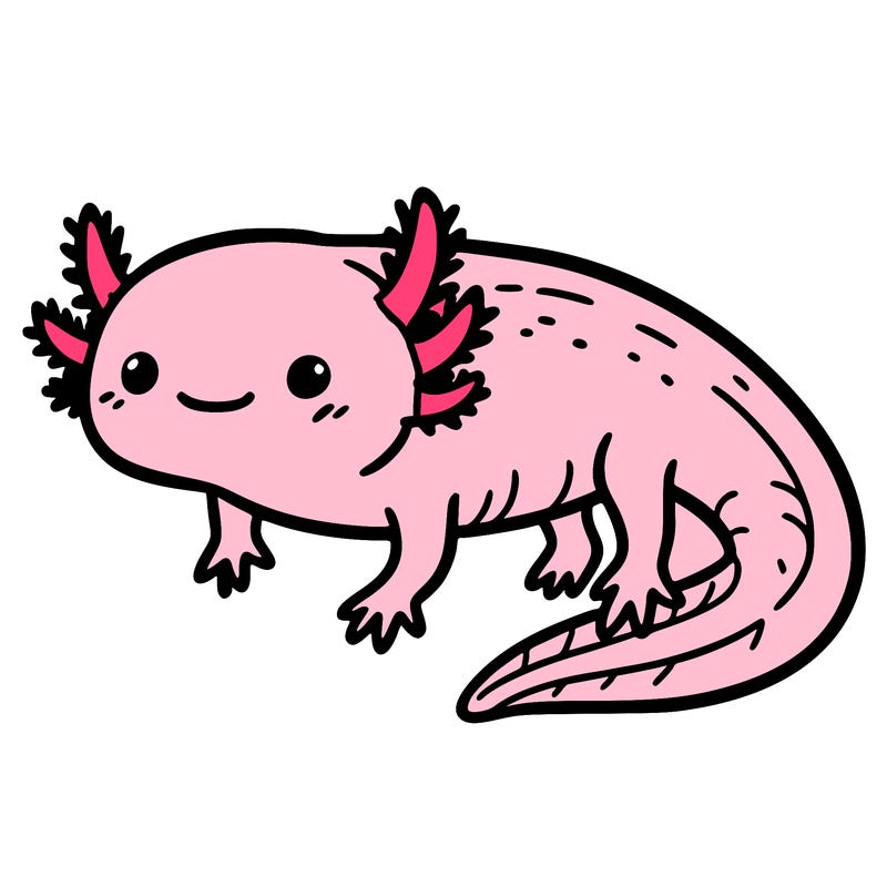 axolotl