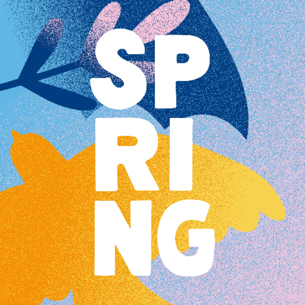 SPRING Festival 2026 - Social Networking App | MWM
