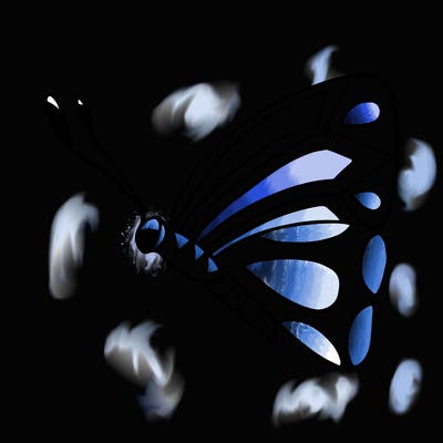 animals_02
