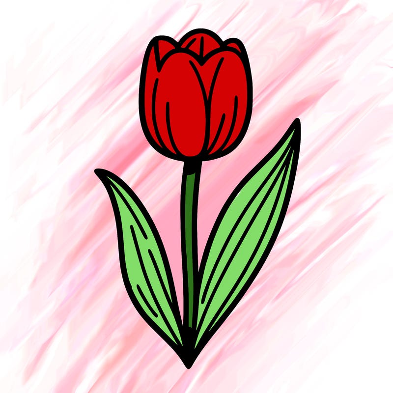one single tulip