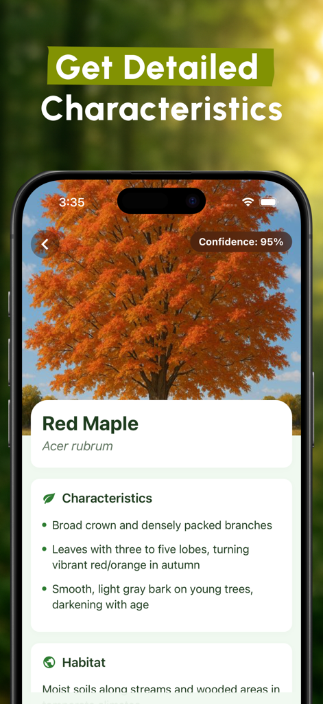 Plant Identifier - SnapLeaf - A mobile app screen from SnapLeaf showing detailed botanical characteristics and identification for a Red Maple tree.