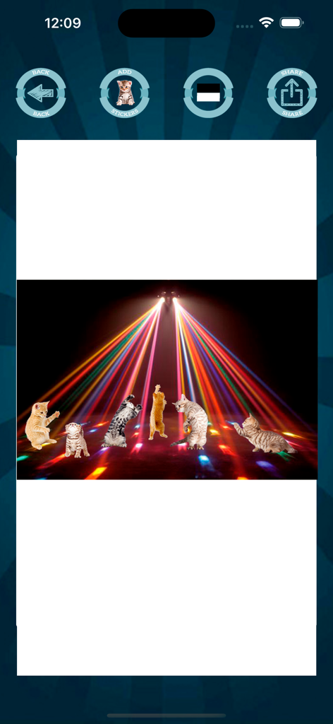 A photo of several kittens edited into a disco scene with colorful laser lights using the app