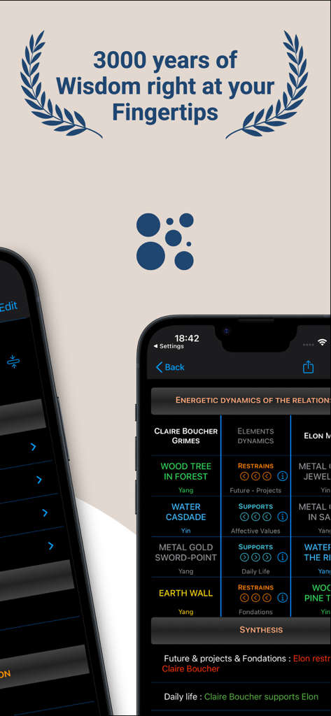 Pillars of Destiny - Pillars of Destiny app showing a BaZi relationship compatibility analysis based on five elements.