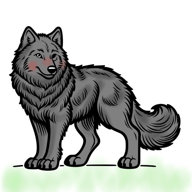 wolf