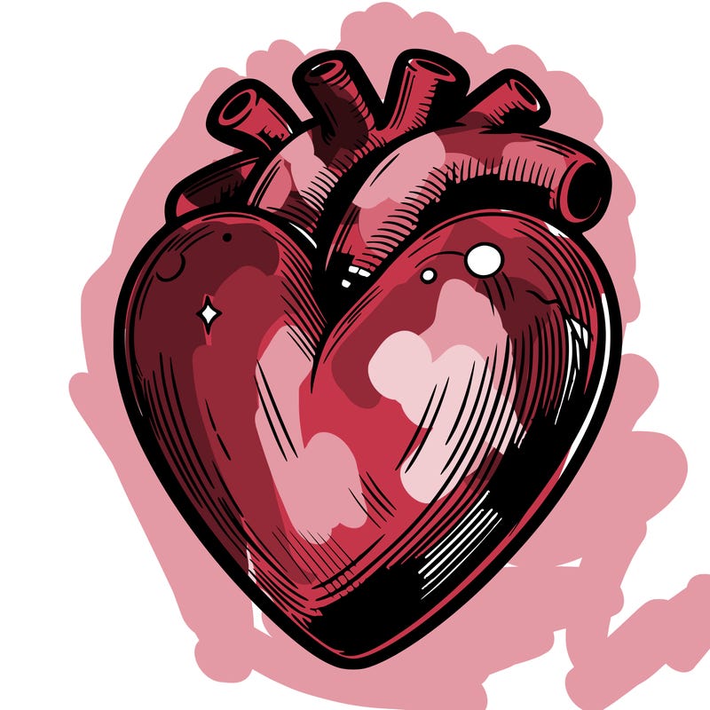 realistic heart