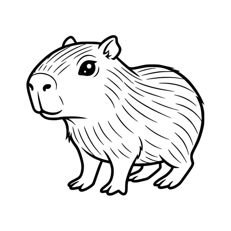 cute only  capybara