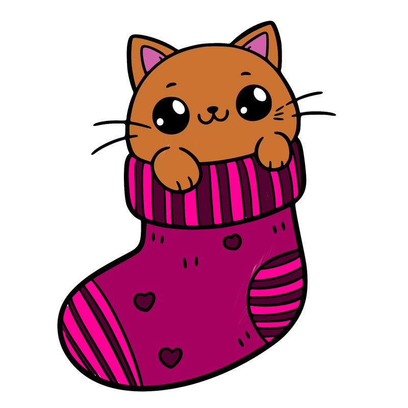 cute cat in a sock