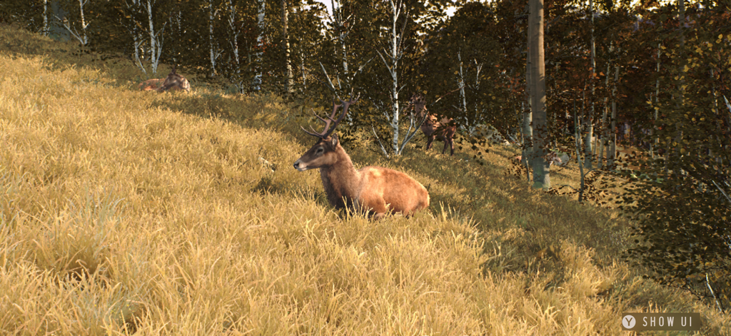 A red deer resting in a sunlit forest clearing in Way of the Hunter Wild Europe