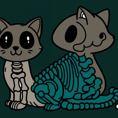 cat skeleton