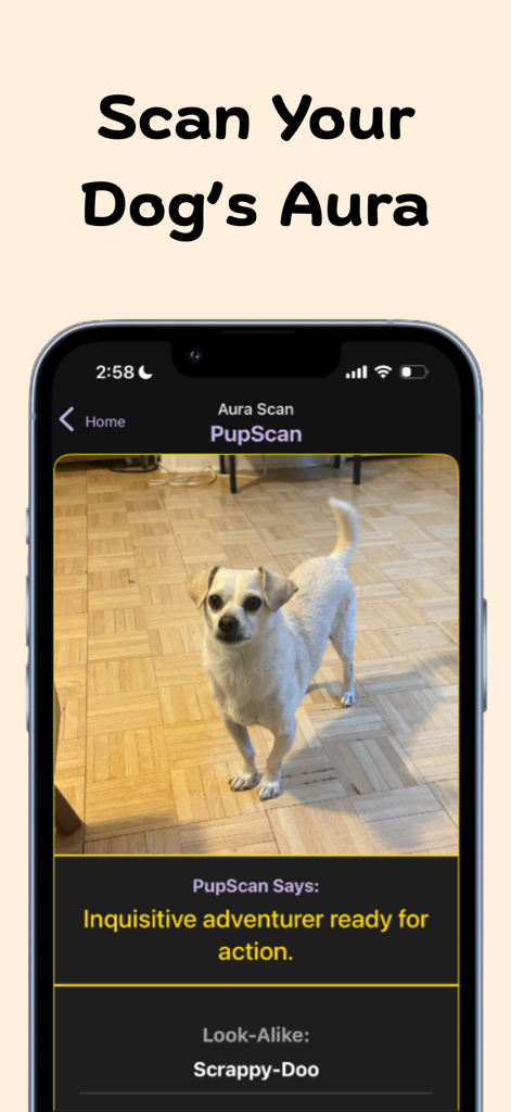 PupScan - Dog Translator - A screenshot of the PupScan app showing an aura scan of a small white dog with a look-alike result of Scrappy-Doo.