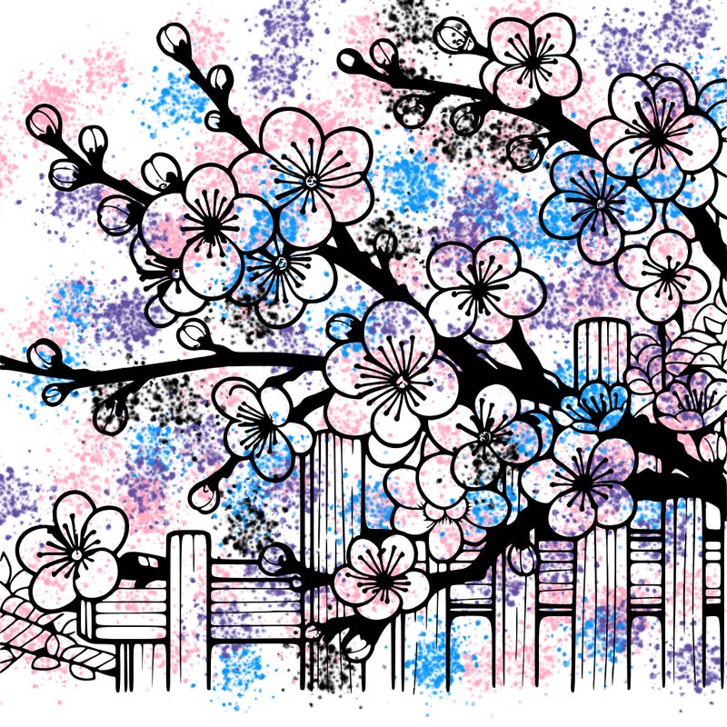 japan cherry blossom