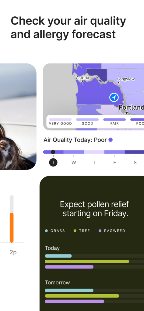 The Weather Channel app interface showing a regional air quality map and detailed pollen forecast for grass tree and ragweed