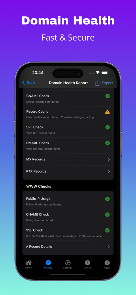 Tela do iPhone mostrando um relatório detalhado de saúde do domínio com verificações de status de segurança de DNS e SSL.