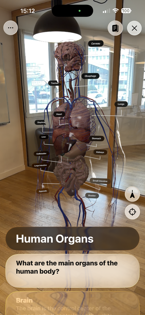 Foxar - Foxar教育アプリを通じて部屋に表示されている、拡張現実の3D人体解剖学と臓器のモデル。