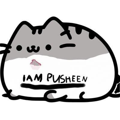 pusheen